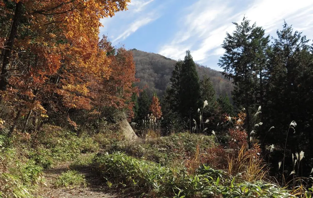 IMG_9843.jpg IMG_9843.jpg