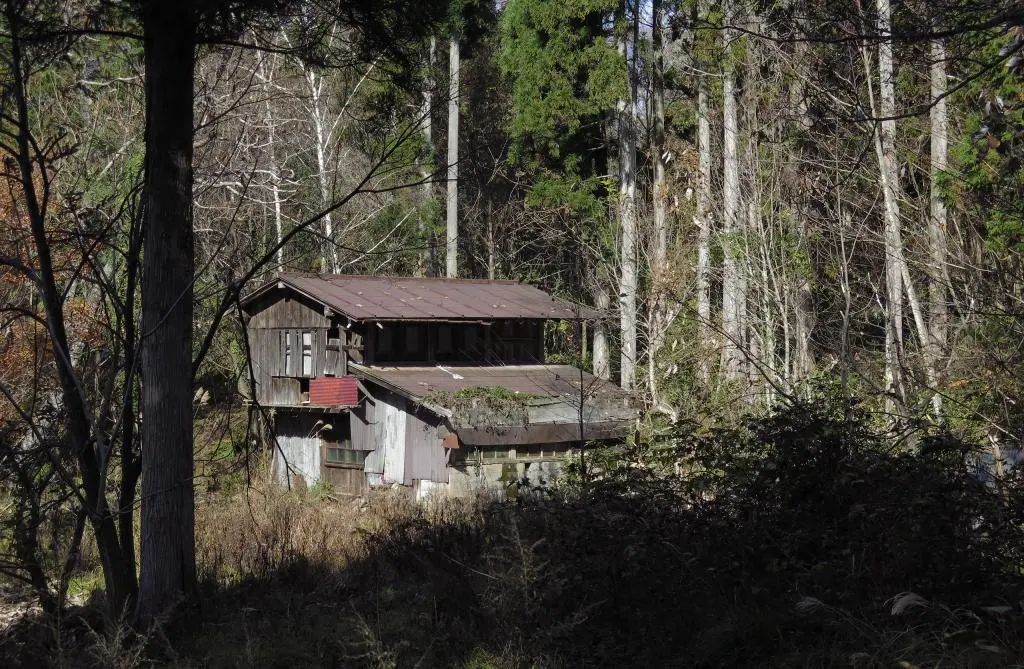 IMG_9846.jpg IMG_9846.jpg