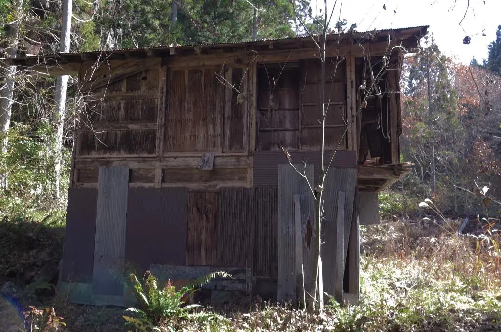 IMG_9851.jpg IMG_9851.jpg