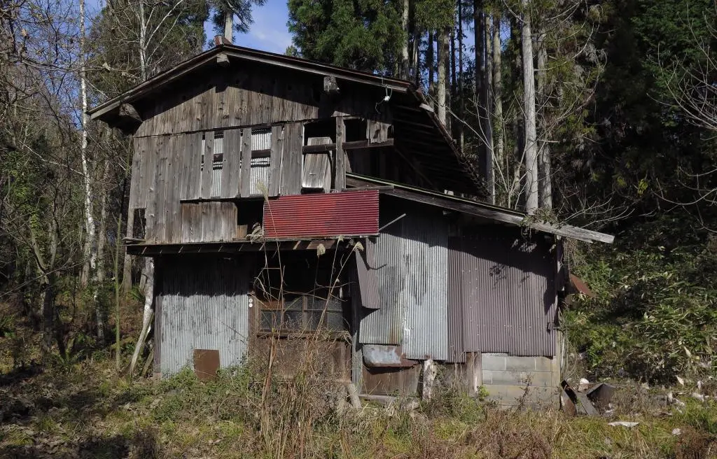 IMG_9856.jpg IMG_9856.jpg