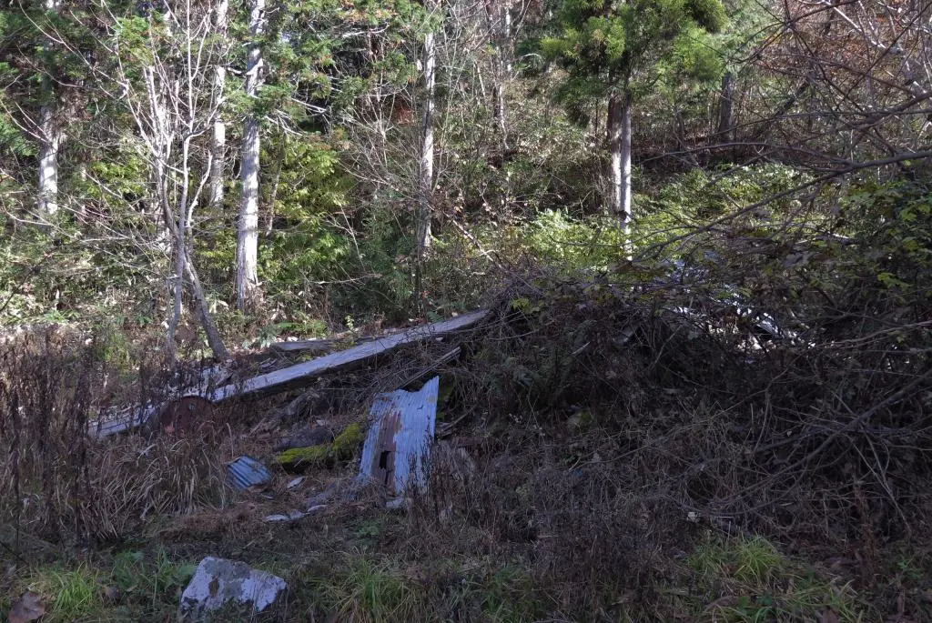 IMG_9858.jpg IMG_9858.jpg