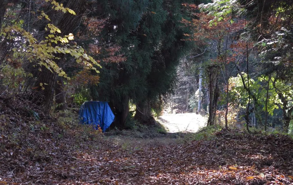 IMG_9860.jpg IMG_9860.jpg