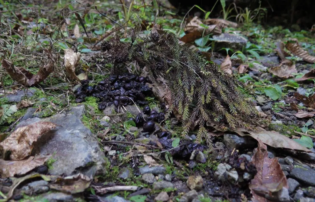 IMG_9865.jpg IMG_9865.jpg