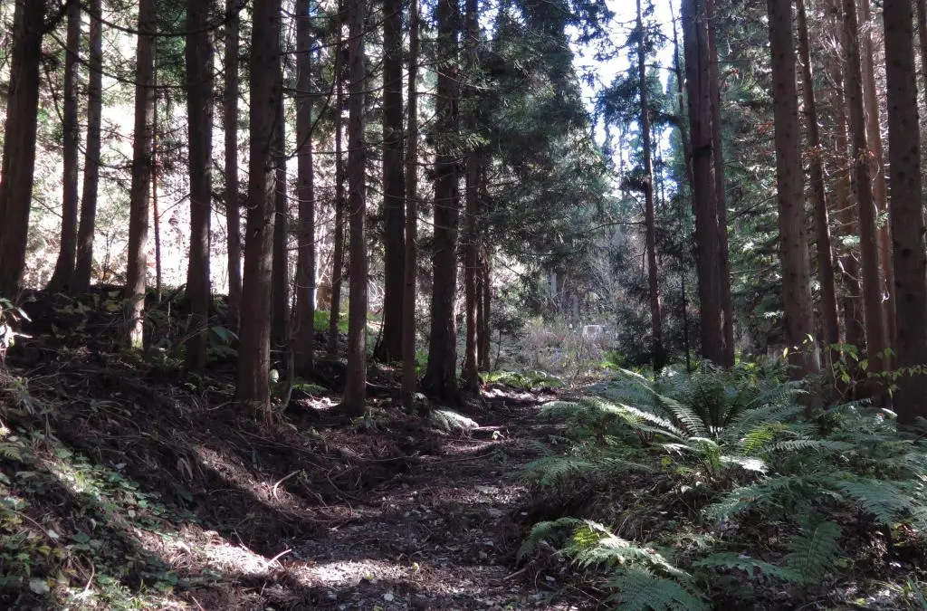 IMG_9867.jpg IMG_9867.jpg