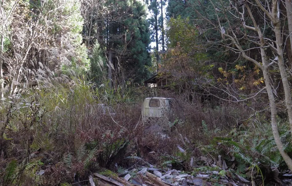 IMG_9868.jpg IMG_9868.jpg