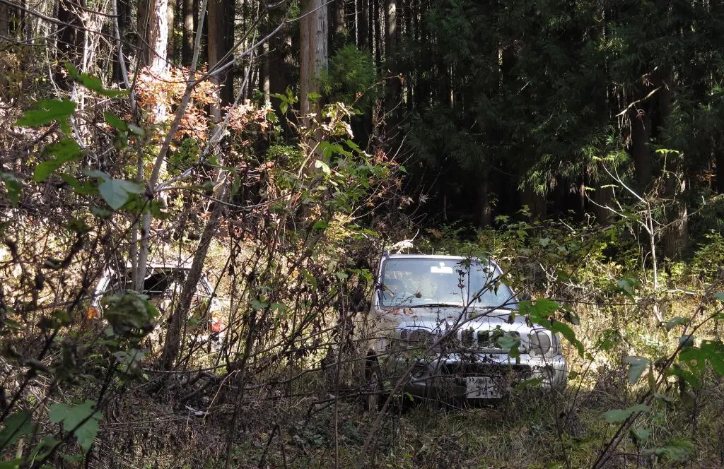 IMG_9869.jpg IMG_9869.jpg