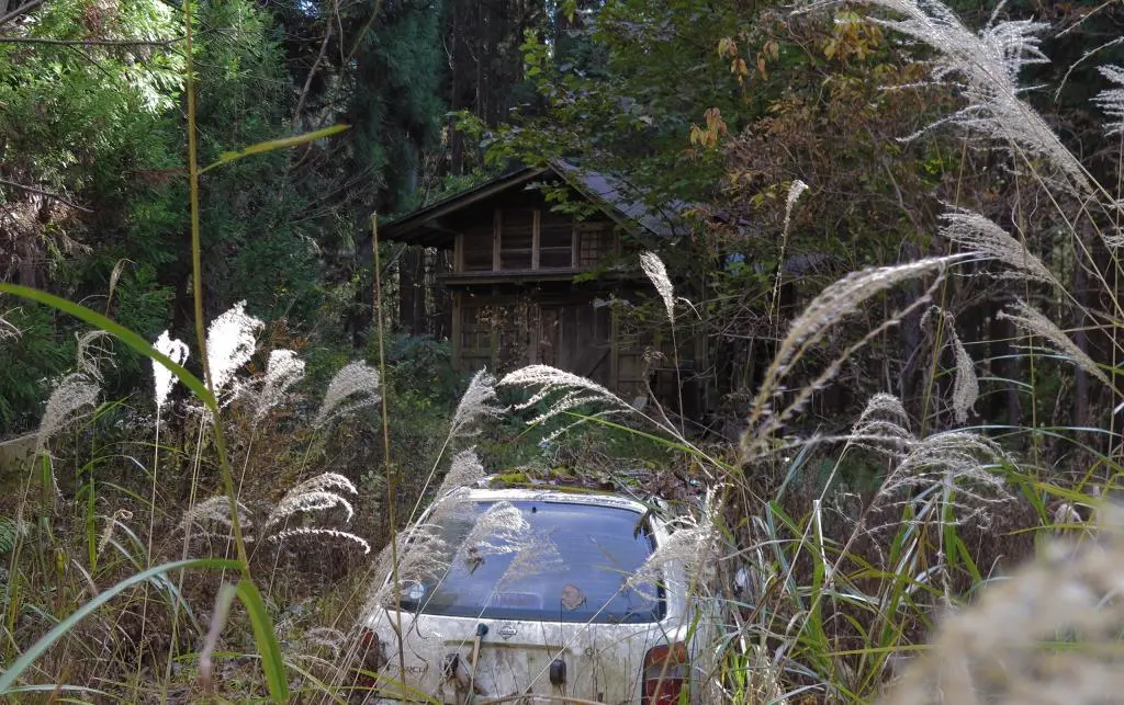 IMG_9872.jpg IMG_9872.jpg