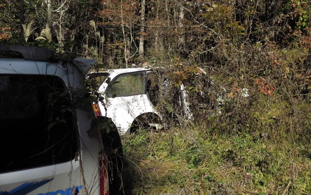 IMG_9876.jpg IMG_9876.jpg