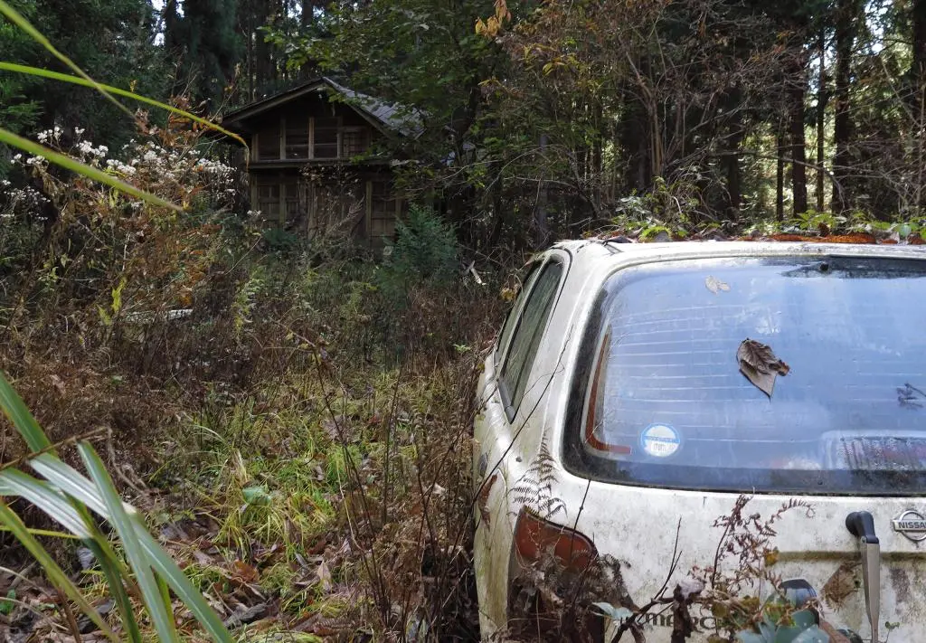 IMG_9879.jpg IMG_9879.jpg