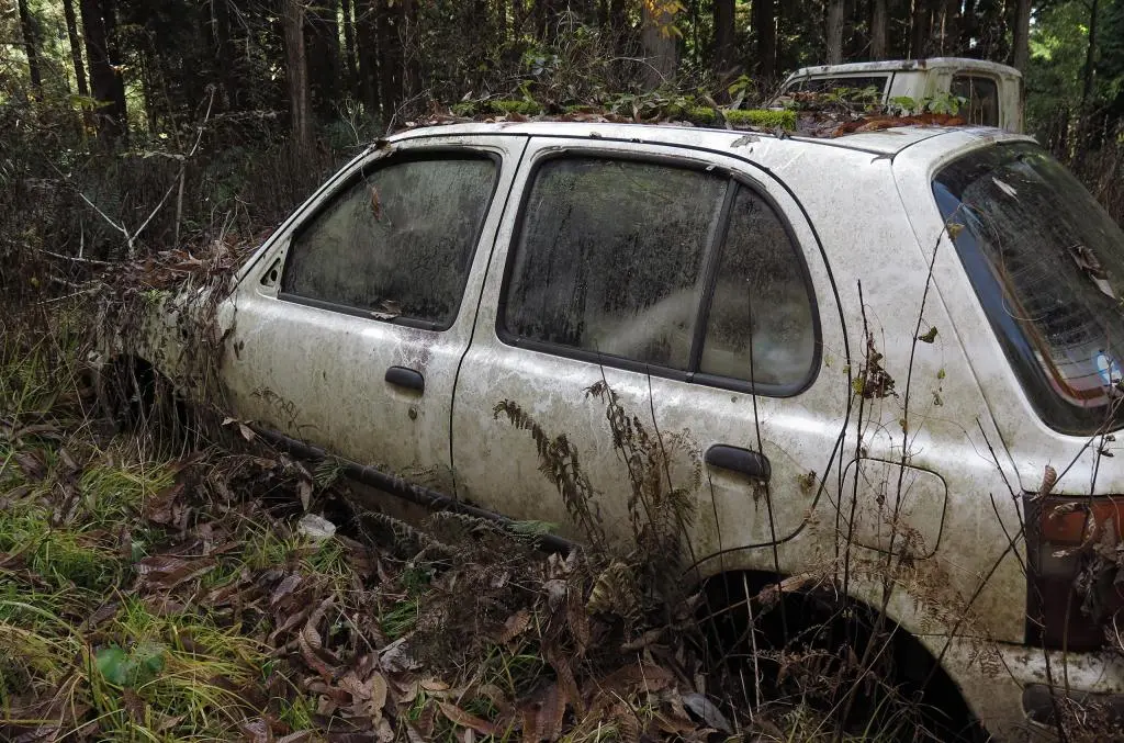 IMG_9880.jpg IMG_9880.jpg