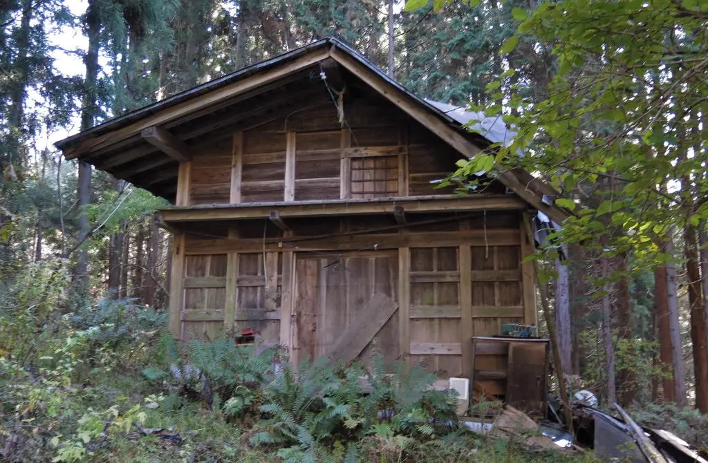 IMG_9886.jpg IMG_9886.jpg