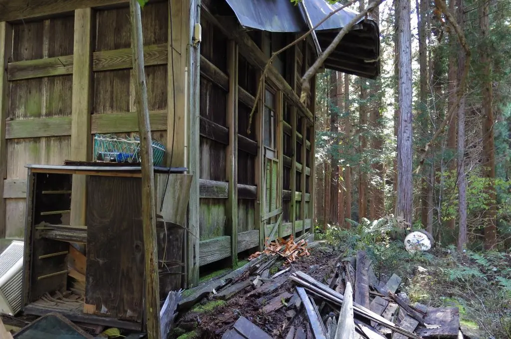 IMG_9888.jpg IMG_9888.jpg