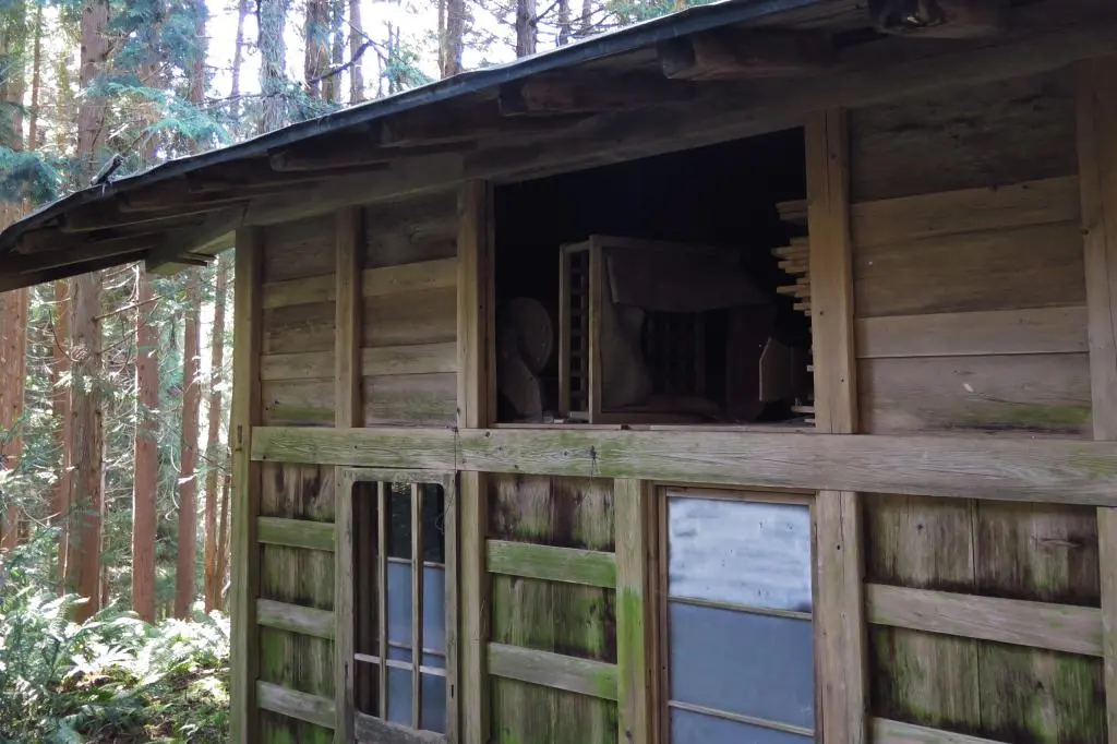 IMG_9890.jpg IMG_9890.jpg