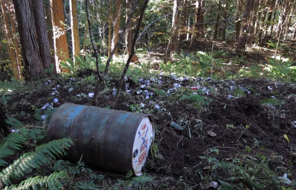 IMG_9896.jpg IMG_9896.jpg