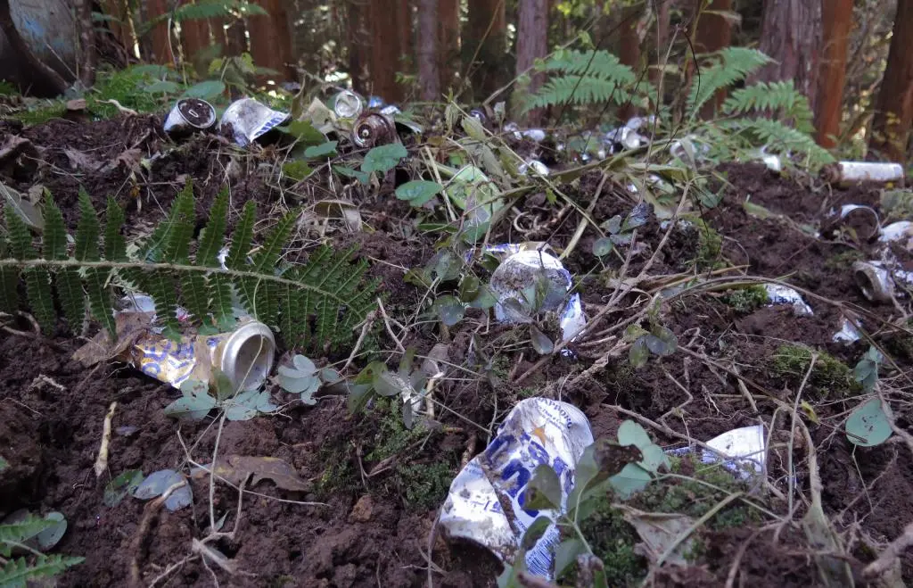 IMG_9899.jpg IMG_9899.jpg