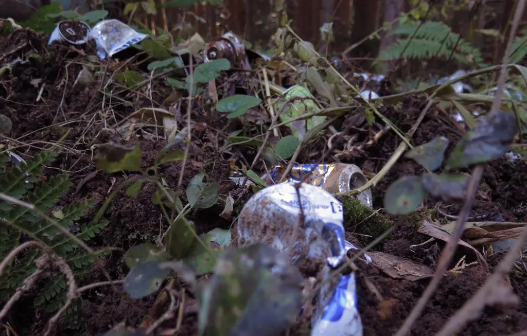 IMG_9901.jpg IMG_9901.jpg