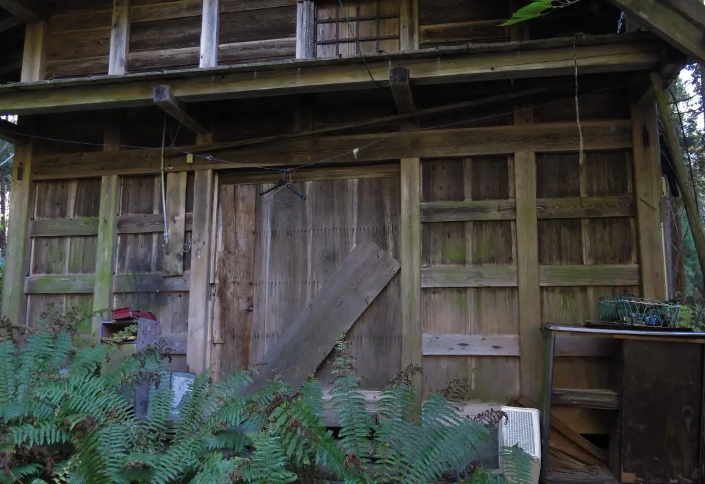 IMG_9904.jpg IMG_9904.jpg