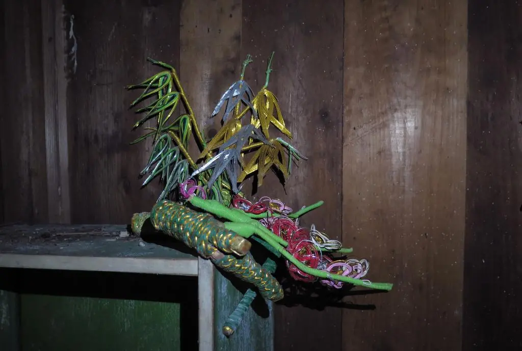 IMG_9936.jpg IMG_9936.jpg