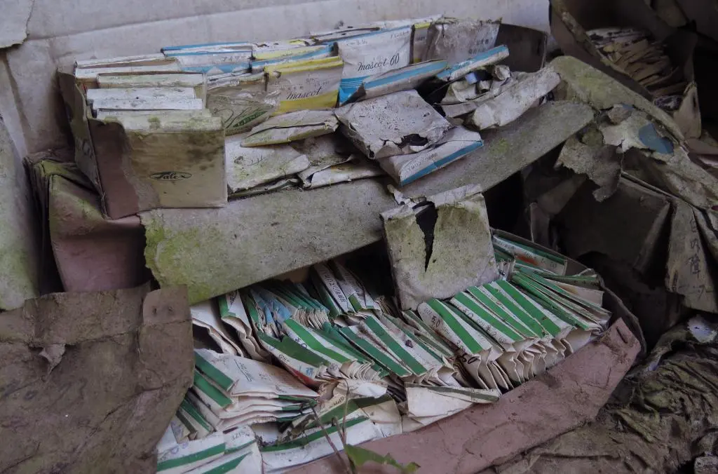 IMG_9947.jpg IMG_9947.jpg