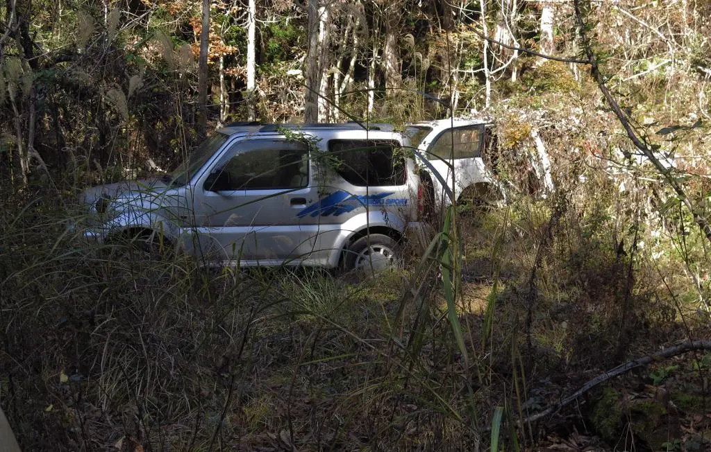 IMG_9951.jpg IMG_9951.jpg