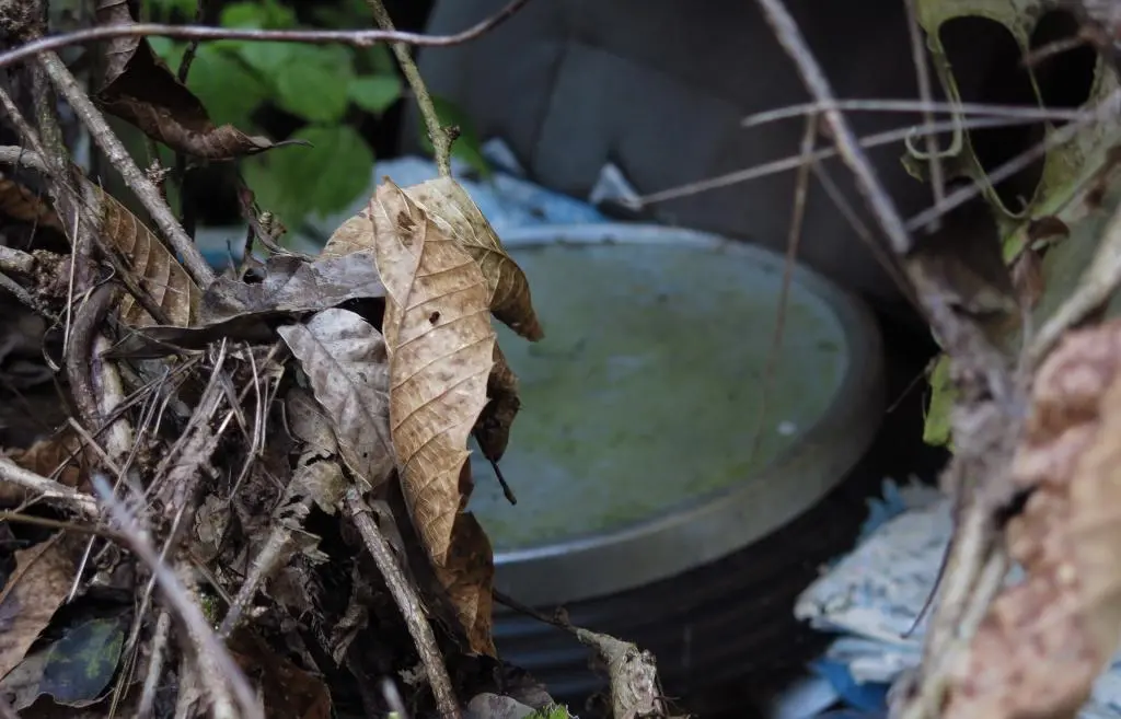 IMG_9952.jpg IMG_9952.jpg