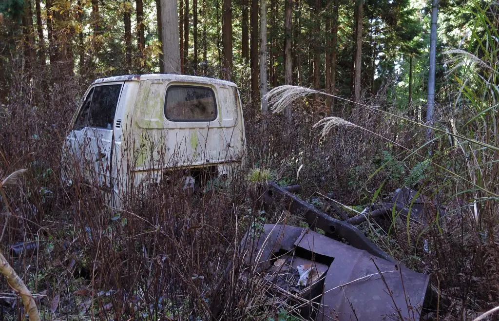 IMG_9954.jpg IMG_9954.jpg