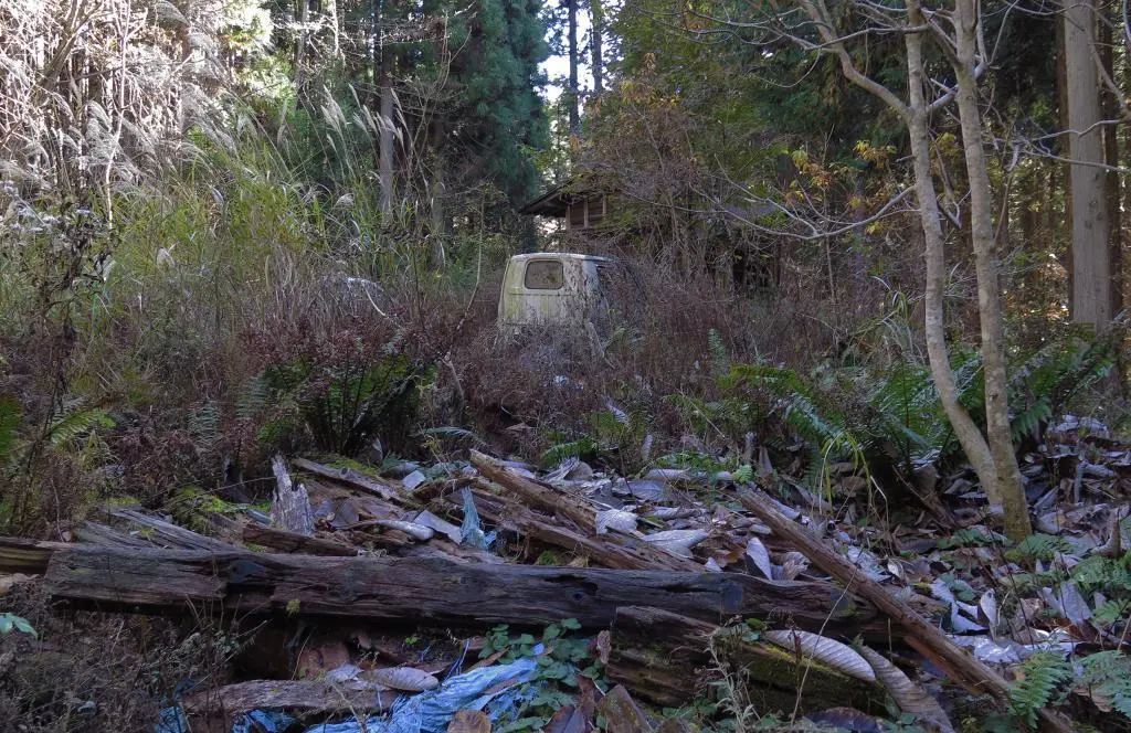 IMG_9959.jpg IMG_9959.jpg