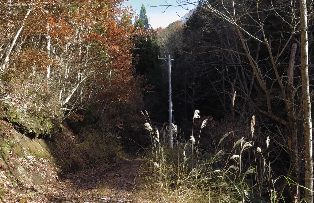 IMG_9964.jpg IMG_9964.jpg