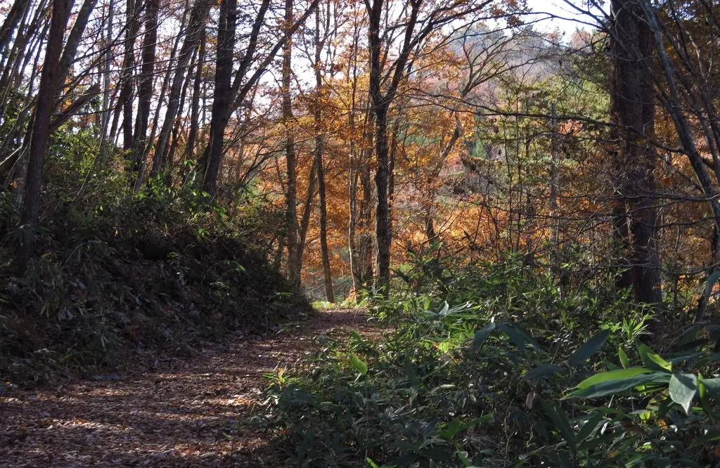 IMG_9966.jpg IMG_9966.jpg