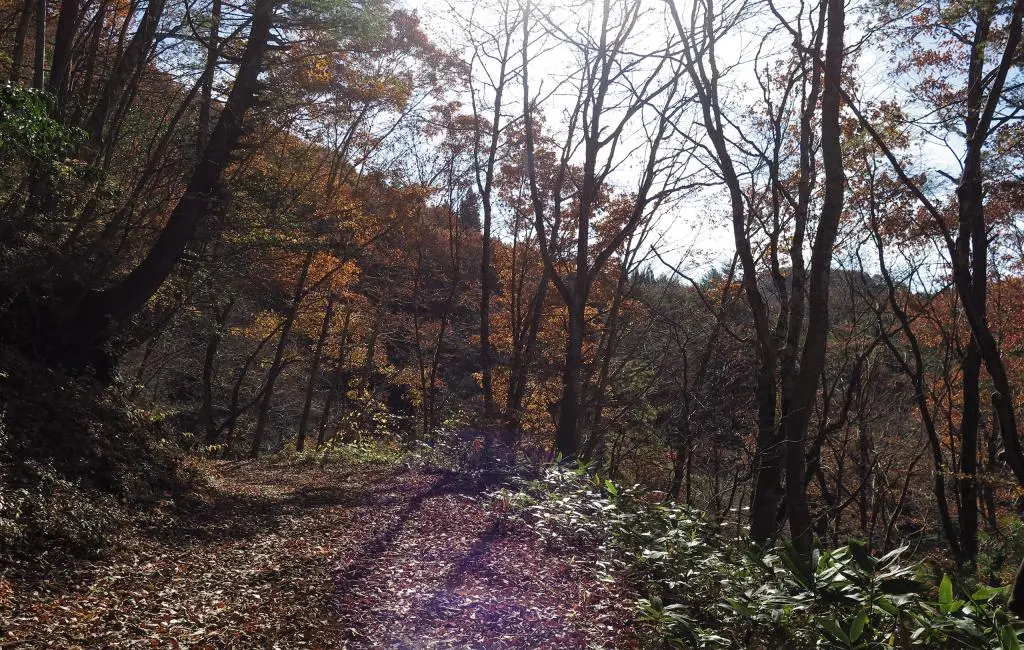 IMG_9968.jpg IMG_9968.jpg