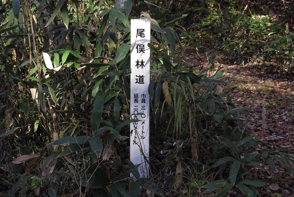 IMG_9971.jpg IMG_9971.jpg