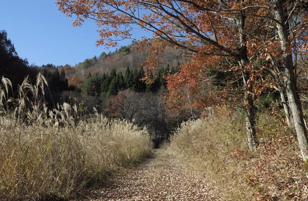 IMG_9975.jpg IMG_9975.jpg