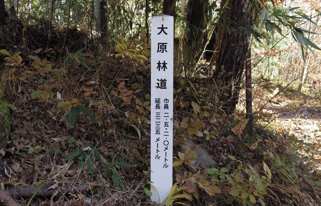 IMG_9980.jpg IMG_9980.jpg