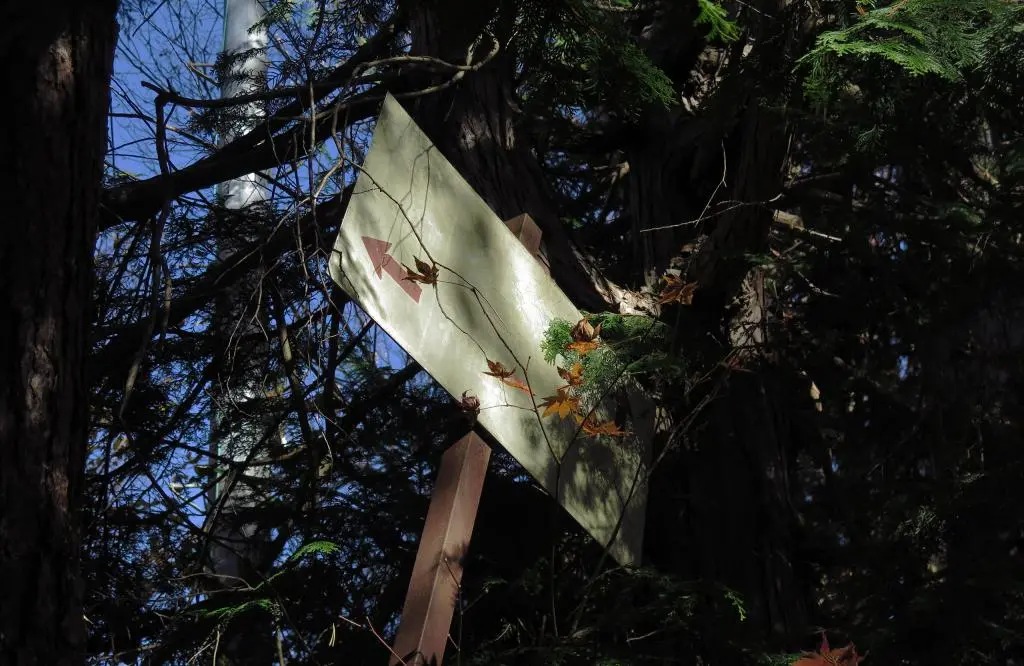 IMG_9982.jpg IMG_9982.jpg