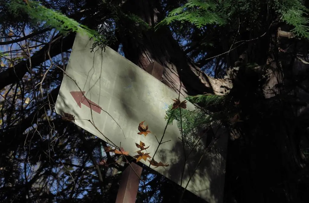 IMG_9985.jpg IMG_9985.jpg