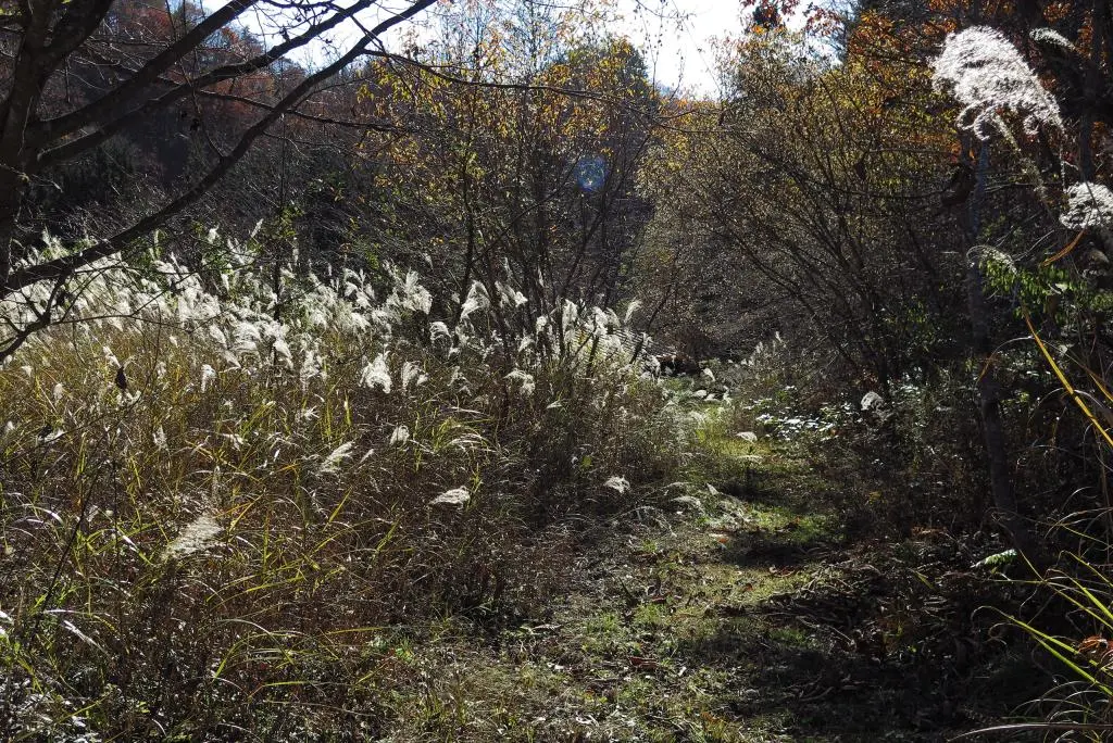 IMG_9989.jpg IMG_9989.jpg