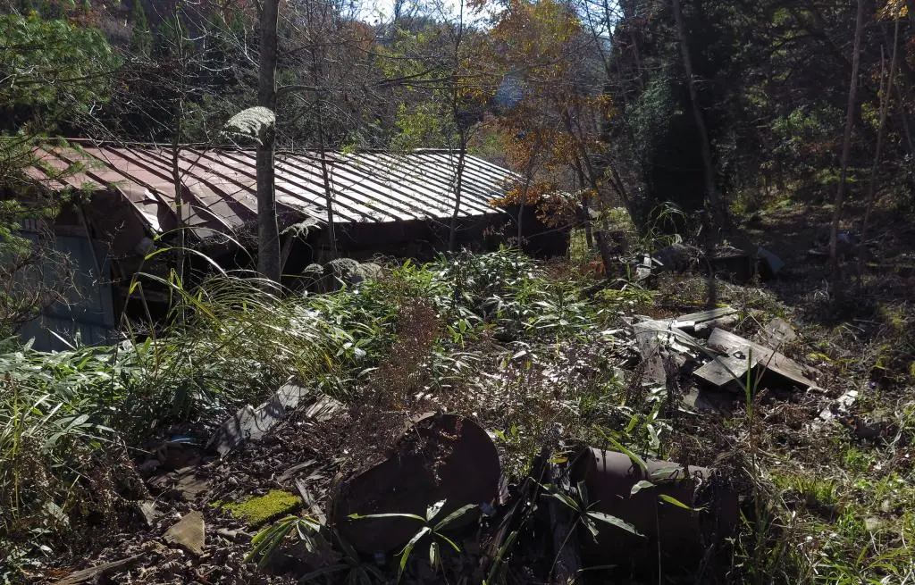 IMG_9991.jpg IMG_9991.jpg