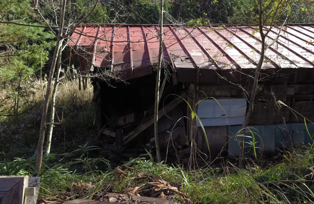 IMG_9993.jpg IMG_9993.jpg