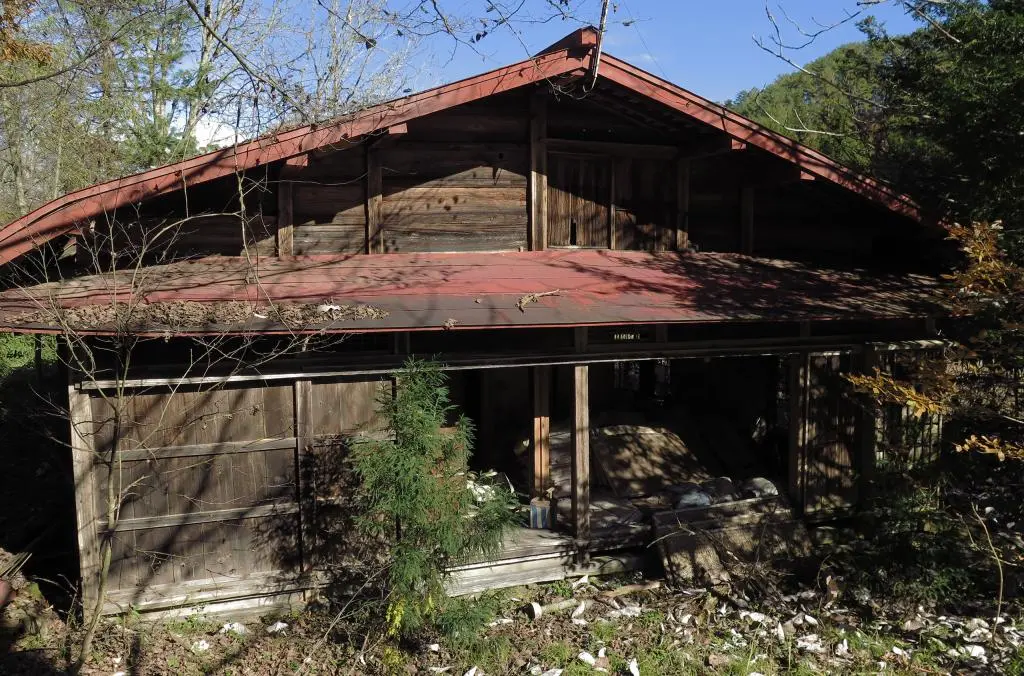 IMG_9996.jpg IMG_9996.jpg