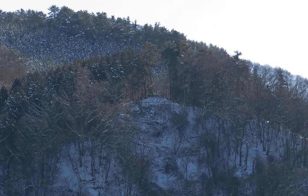 IMG_5786.jpg IMG_5786.jpg