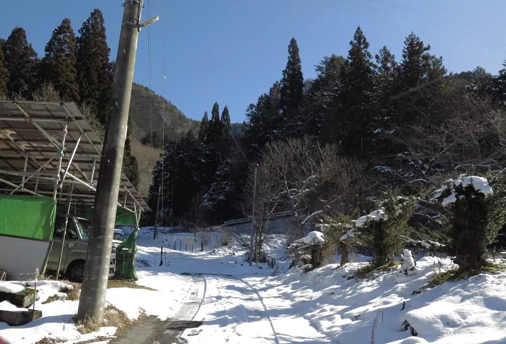 IMG_5793.jpg IMG_5793.jpg