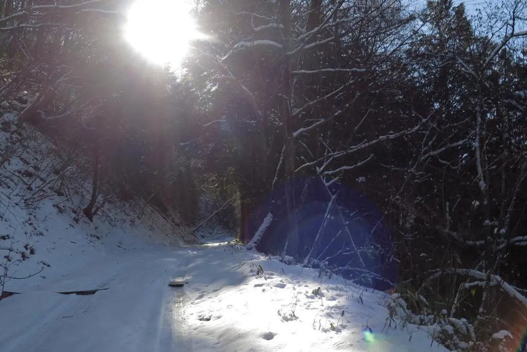 IMG_5796.jpg IMG_5796.jpg