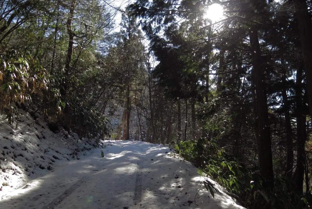 IMG_5801.jpg IMG_5801.jpg