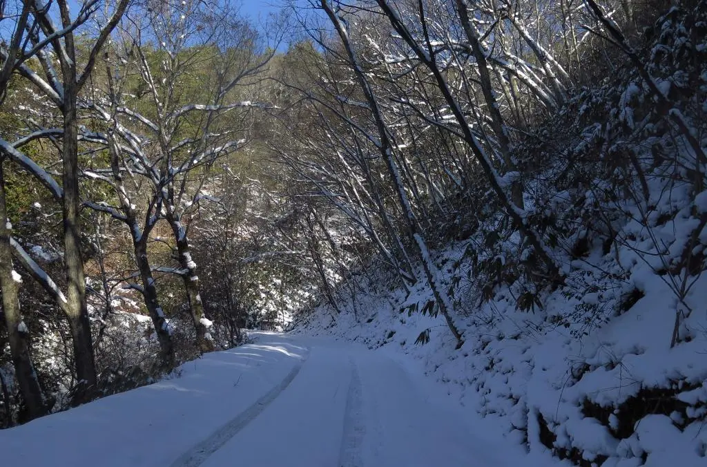 IMG_5805.jpg IMG_5805.jpg