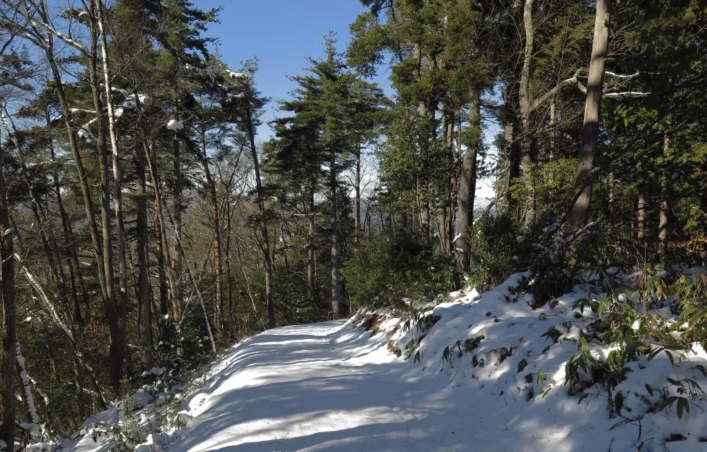 IMG_5820.jpg IMG_5820.jpg