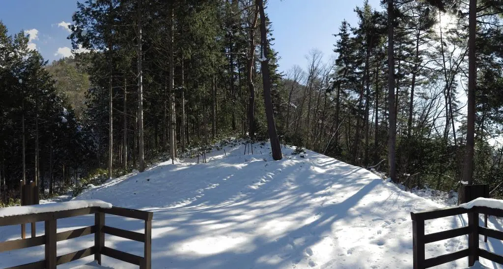 IMG_5929_stitch.jpg IMG_5929_stitch.jpg