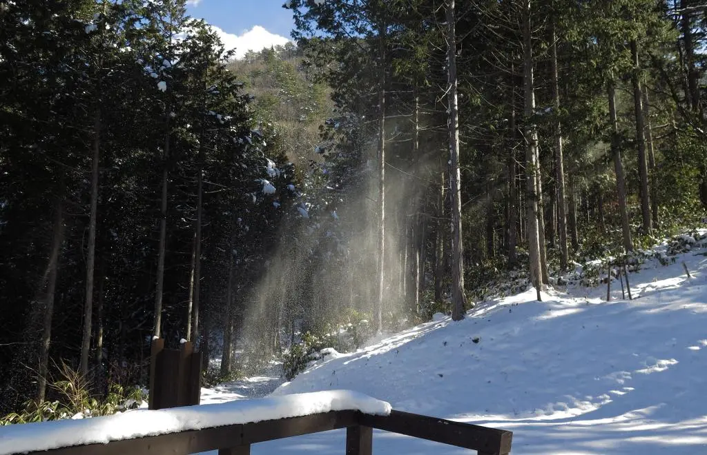 IMG_5935.jpg IMG_5935.jpg