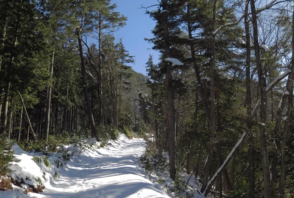 IMG_5947.jpg IMG_5947.jpg