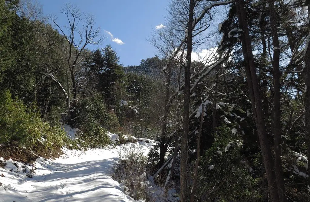 IMG_5949.jpg IMG_5949.jpg