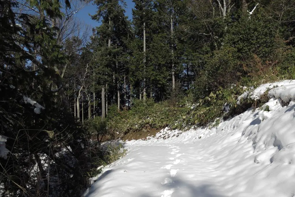 IMG_5952.jpg IMG_5952.jpg